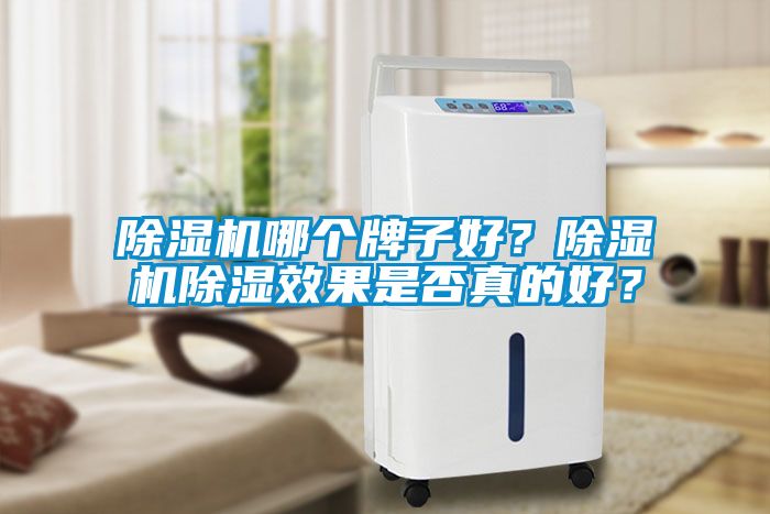 除濕機哪個牌子好？除濕機除濕效果是否真的好？