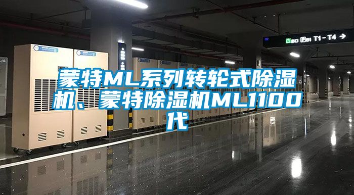 蒙特ML系列轉(zhuǎn)輪式除濕機(jī)、蒙特除濕機(jī)ML1100代