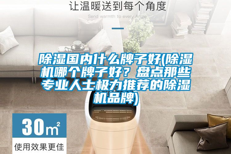 除濕國內(nèi)什么牌子好(除濕機(jī)哪個(gè)牌子好？盤點(diǎn)那些專業(yè)人士極力推薦的除濕機(jī)品牌)