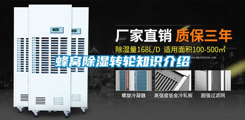 蜂窩除濕轉輪知識介紹