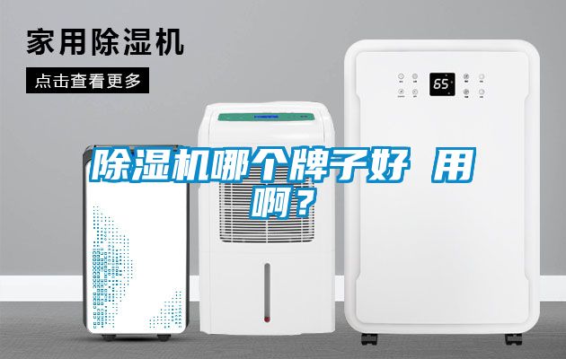 除濕機哪個牌子好 用啊?