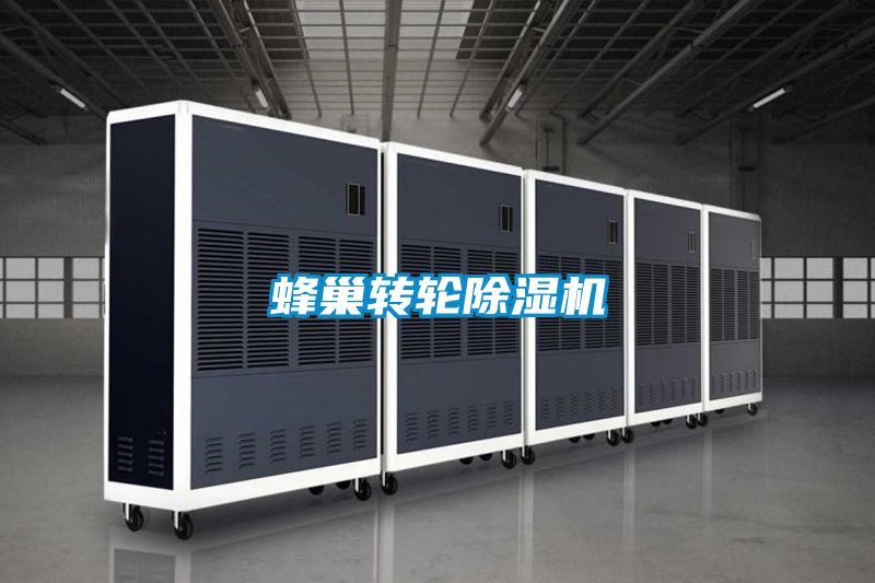 蜂巢轉(zhuǎn)輪除濕機(jī)