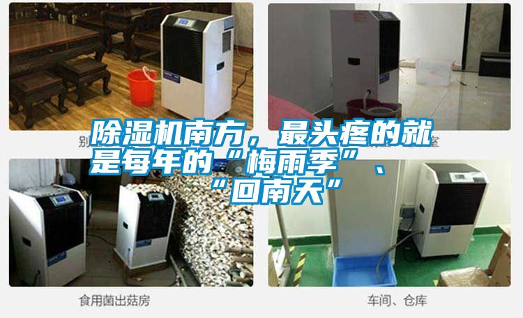 除濕機南方，最頭疼的就是每年的“梅雨季”、“回南天”