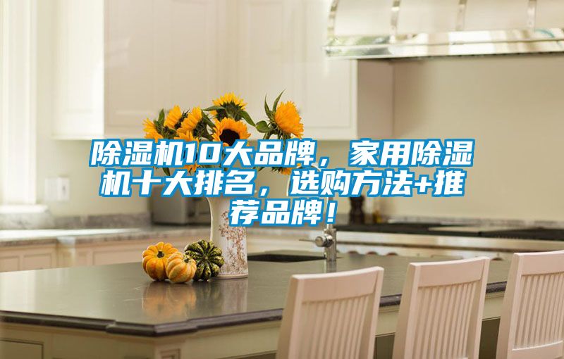 除濕機(jī)10大品牌,家用除濕機(jī)十大排名,選購方法+推薦品牌!