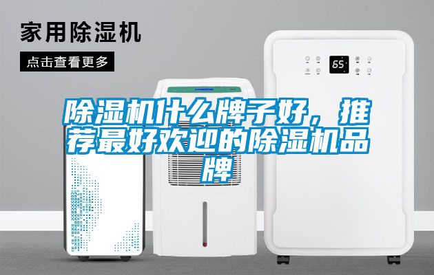 除濕機什么牌子好，推薦最好歡迎的除濕機品牌