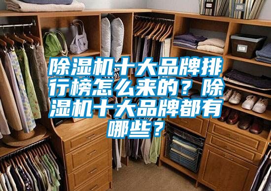 除濕機十大品牌排行榜怎么來的?除濕機十大品牌都有哪些?