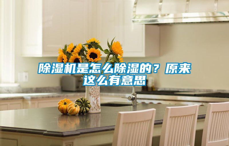 除濕機(jī)是怎么除濕的？原來(lái)這么有意思