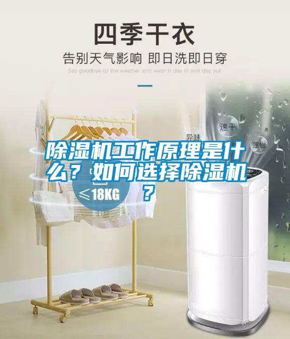除濕機工作原理是什么？如何選擇除濕機？