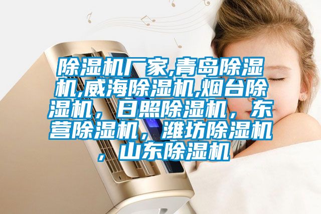 除濕機廠家,青島除濕機,威海除濕機,煙臺除濕機，日照除濕機，東營除濕機，濰坊除濕機，山東除濕機