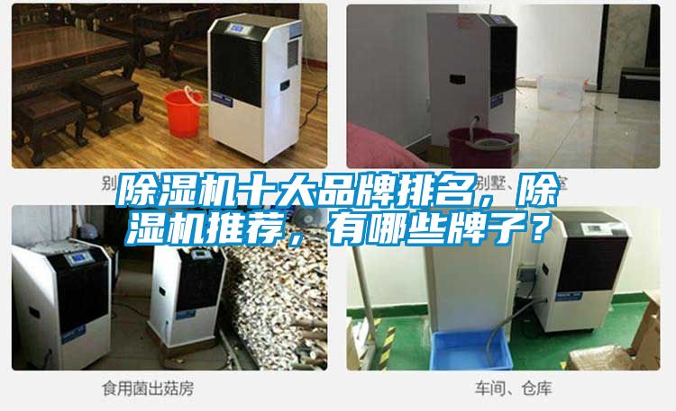 除濕機十大品牌排名，除濕機推薦，有哪些牌子？