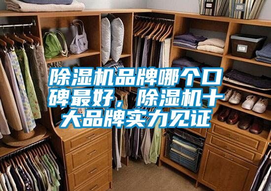 除濕機品牌哪個口碑最好，除濕機十大品牌實力見證