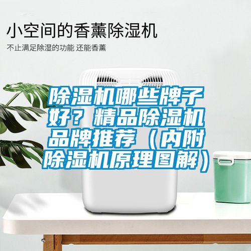 除濕機哪些牌子好？精品除濕機品牌推薦（內附除濕機原理圖解）