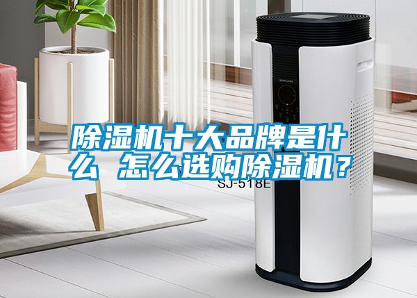 除濕機十大品牌是什么 怎么選購除濕機?