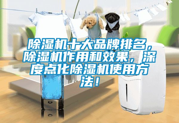 除濕機十大品牌排名，除濕機作用和效果，深度點化除濕機使用方法！