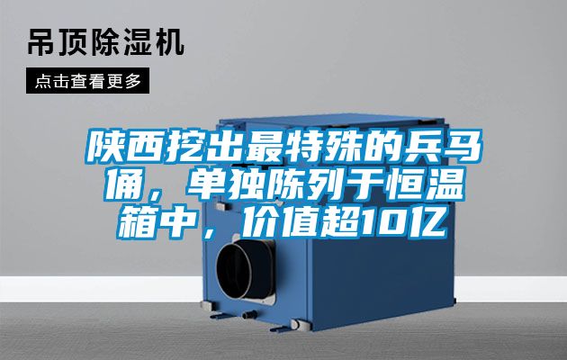 陜西挖出最特殊的兵馬俑，單獨(dú)陳列于恒溫箱中，價(jià)值超10億