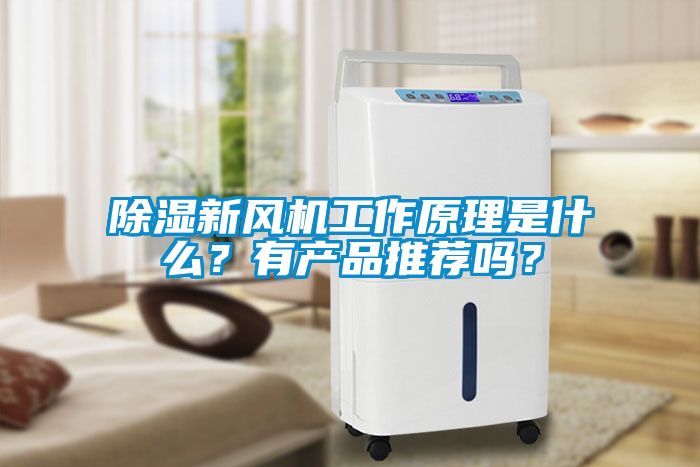 除濕新風機工作原理是什么?有產品推薦嗎?