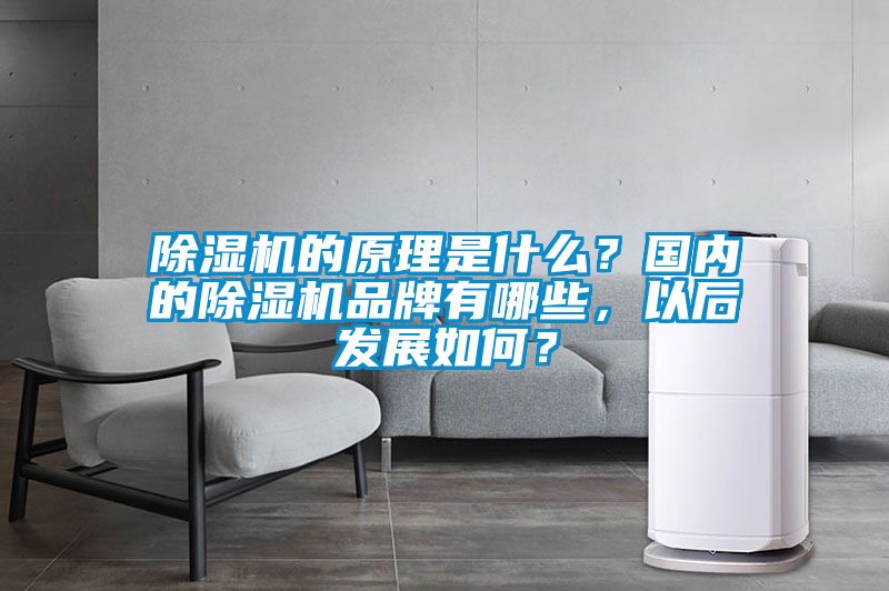 除濕機的原理是什么？國內的除濕機品牌有哪些，以后發展如何？