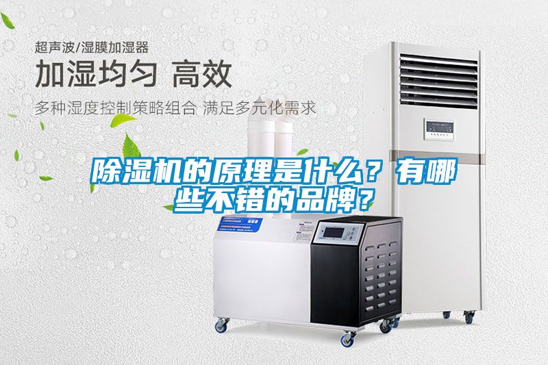 除濕機的原理是什么？有哪些不錯的品牌？