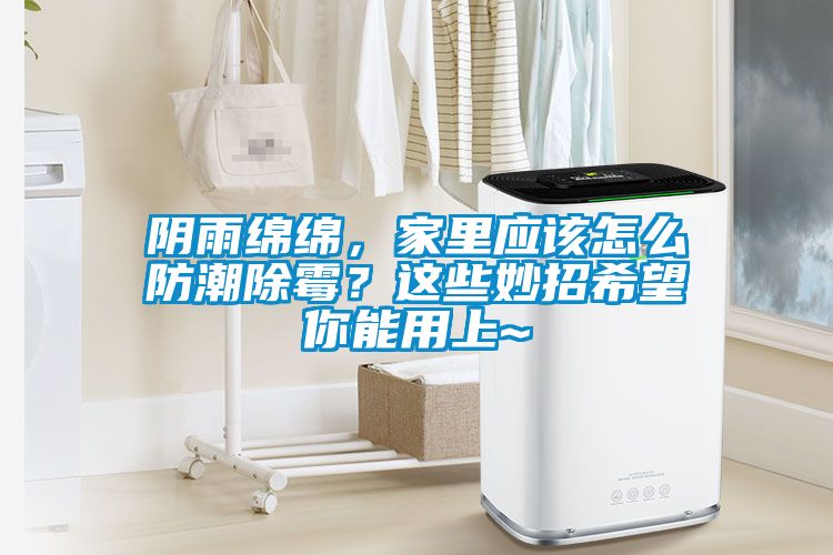 陰雨綿綿，家里應(yīng)該怎么防潮除霉？這些妙招希望你能用上~