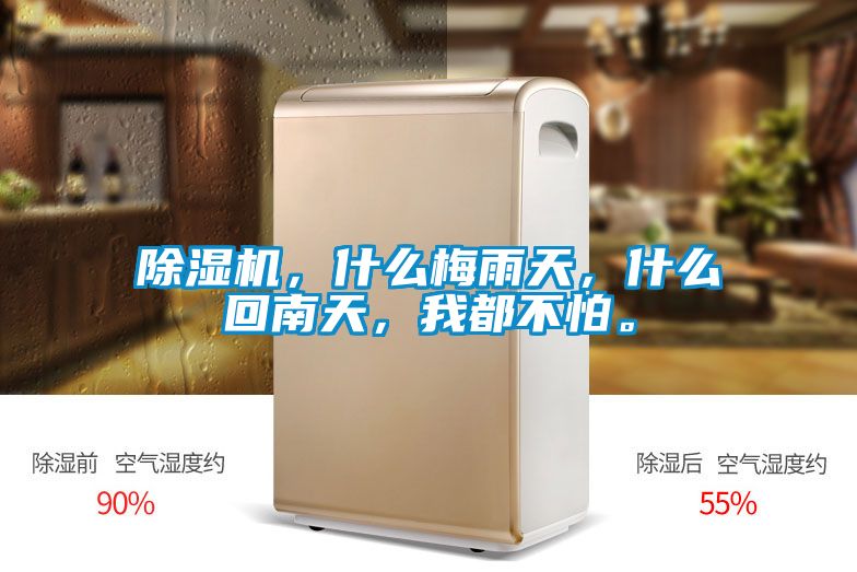 除濕機(jī)，什么梅雨天，什么回南天，我都不怕。