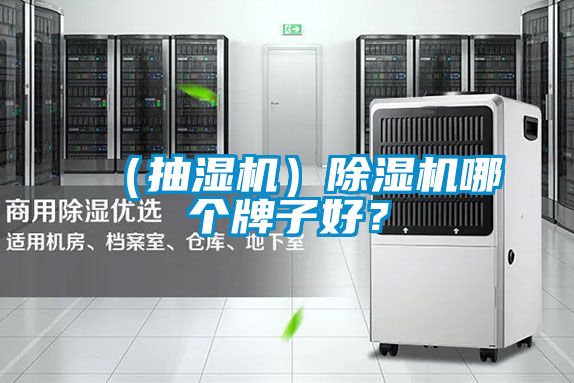 (抽濕機)除濕機哪個牌子好?